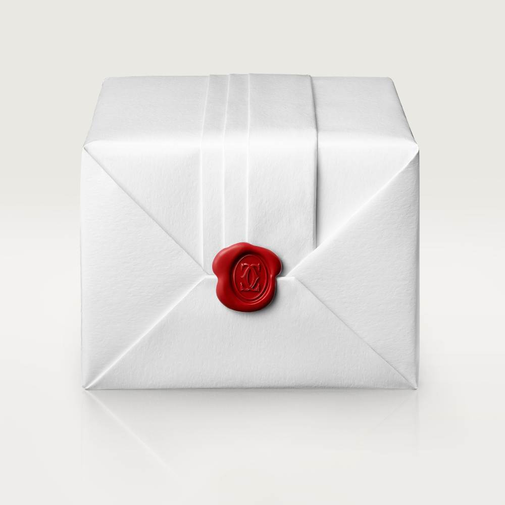 TANK MUST DE CARTIER watch--GaiYalun