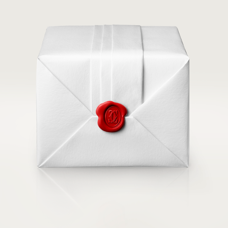 TANK MUST watch small model stainless steel quartz--GaiYalun