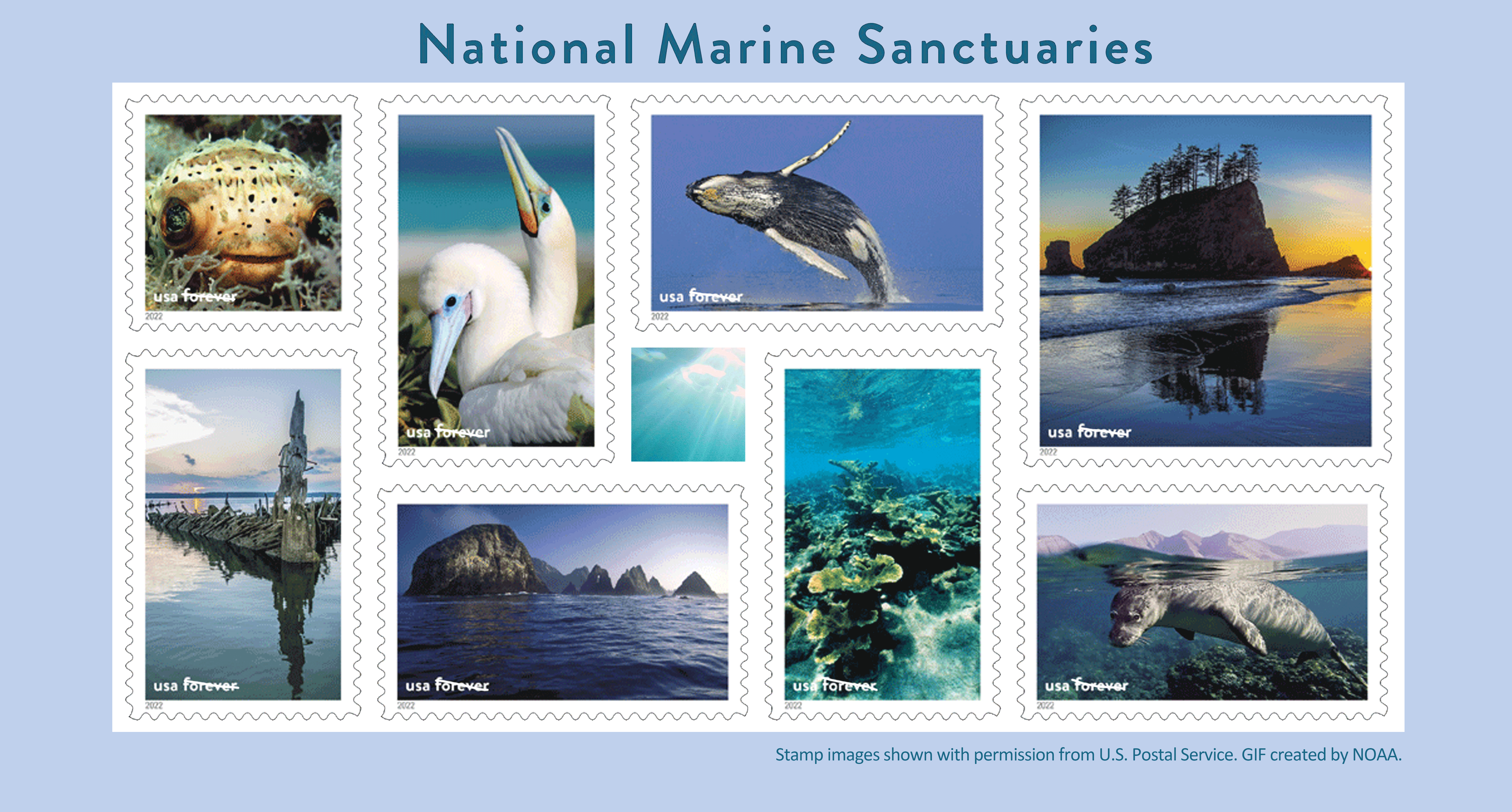Animation (GIF) showcasing the set of 16 new National Marine Sanctuaries Forever® stamps feature scenes from NOAA’s National Marine Sanctuaries. (Image credit: NOAA, with images supplied by USPS) Animation (GIF) showcasing the set of 16 new National Marine Sanctuaries Forever® stamps feature scenes from NOAA’s National Marine Sanctuaries.