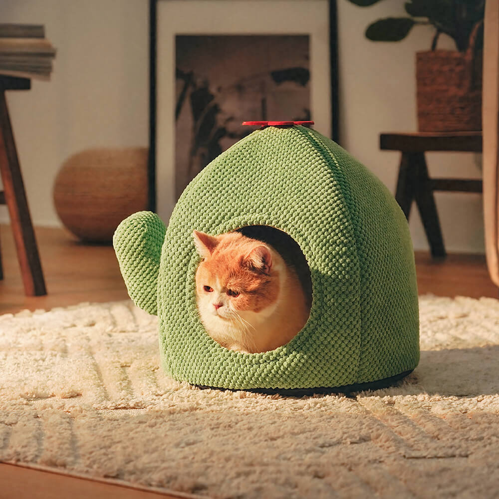 Cactus cat outlet bed