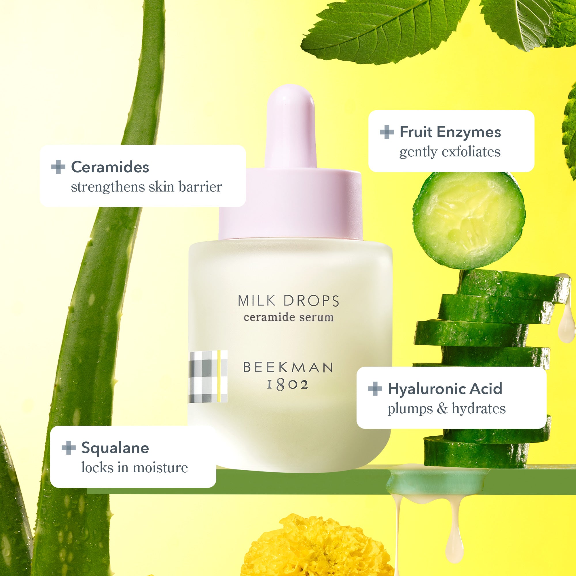 Bottle of Beekman 1802's Milk Drops Ceramide serum on a yellow background, surrounded by aloe, cucumber, and leaves, with  writing that highlights the main ingredients which is Hyaluronic Acid to plum and hydrate, Fruit Enzymes to gently exfoliate, squalane to lock in moisture and ceramides to strengthen skin barrier.